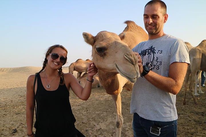 Evening desert safari in Abu Dhabi — Nature & wildlife things to do in Abu Dhabi