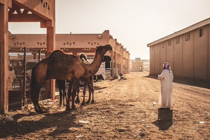 Guided tour of Al Ain's romantic landmarks