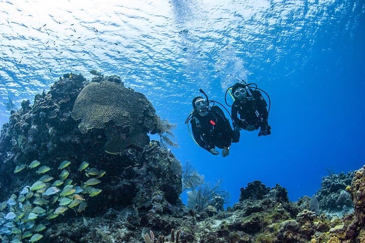 PADI Open Water Diver course in Fujairah — Adventure things to do in Fujairah