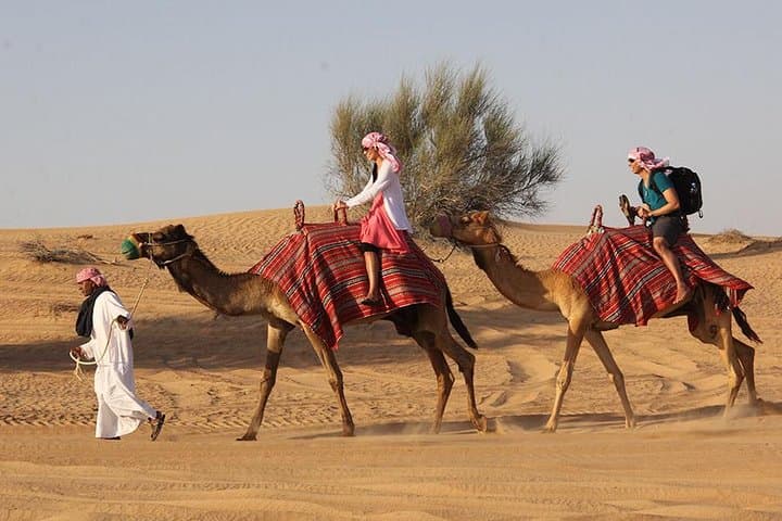 Desert safari tour in Sharjah with 4x4 dune bashing and dinner — Kids-friendly things to do in Sharjah