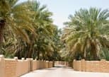 Al Ain Oasis in Abu Dhabi — view 2