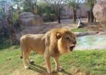 Al Ain Zoo in Al Ain — view 2