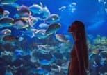 Dubai Aquarium and Underwater Zoo in Dubai — view 2