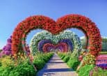 Dubai Miracle Garden in Dubai — view 2