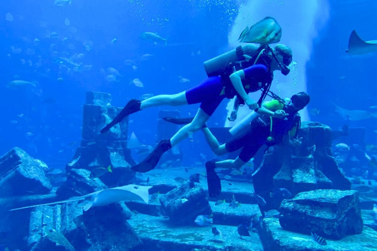 Lost World Aquarium — places to visit in Dubai