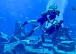Lost World Aquarium in Dubai — view 2
